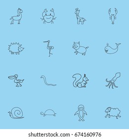 Set Of 16 Editable Zoo Icons. Includes Symbols Such As Urchin, Lobster, Serpent And More. Can Be Used For Web, Mobile, UI And Infographic Design.