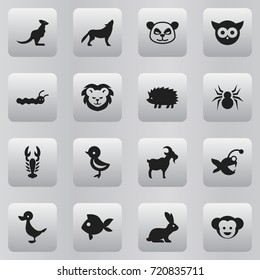 Set Of 16 Editable Zoo Icons. Includes Symbols Such As Porcupine, Wildcat, Crawfish And More. Can Be Used For Web, Mobile, UI And Infographic Design.