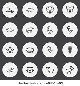 Set Of 16 Editable Zoo Outline Icons. Includes Symbols Such As Pork, Lynx, Quack And More. Can Be Used For Web, Mobile, UI And Infographic Design.