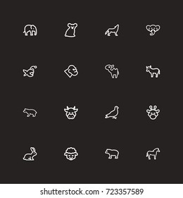 Set Of 16 Editable Zoo Outline Icons. Includes Symbols Such As Trunked, Pigeon, Wolf And More. Can Be Used For Web, Mobile, UI And Infographic Design.