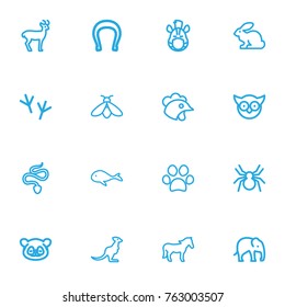 Set Of 16 Editable Zoo Outline Icons. Includes Symbols Such As Bird Trace, Spinner, Snake And More. Can Be Used For Web, Mobile, UI And Infographic Design.