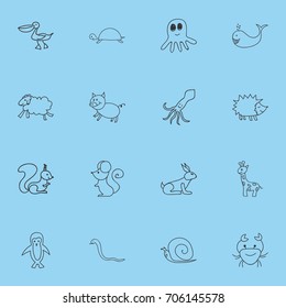 Set Of 16 Editable Zoology Doodles. Includes Symbols Such As Pelican, Squid, Urchin And More. Can Be Used For Web, Mobile, UI And Infographic Design.