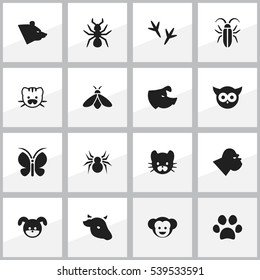 Set Of 16 Editable Zoology Icons. Includes Symbols Such As Bull, Bedbug, Arachind And More. Can Be Used For Web, Mobile, UI And Infographic Design.