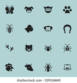 Set Of 16 Editable Zoology Icons. Includes Symbols Such As Beast, Rooster, Puppy And More. Can Be Used For Web, Mobile, UI And Infographic Design.
