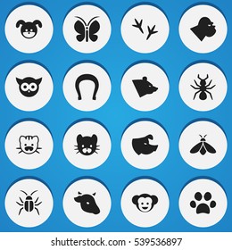 Set Of 16 Editable Zoology Icons. Includes Symbols Such As Feline, Moth, Talisman And More. Can Be Used For Web, Mobile, UI And Infographic Design.