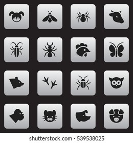 Set Of 16 Editable Zoology Icons. Includes Symbols Such As Cockroach, Arachind, Moth And More. Can Be Used For Web, Mobile, UI And Infographic Design.