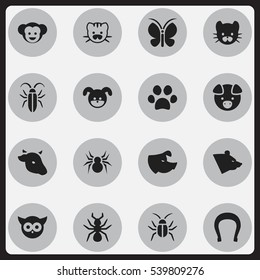 Set Of 16 Editable Zoology Icons. Includes Symbols Such As Beast, Hog, Grizzly And More. Can Be Used For Web, Mobile, UI And Infographic Design.