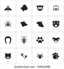 Set Of 16 Editable Zoology Icons. Includes Symbols Such As Beast, Arachind, Grizzly And More. Can Be Used For Web, Mobile, UI And Infographic Design.