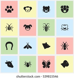 Set Of 16 Editable Zoology Icons. Includes Symbols Such As Bug, Feline, Grizzly And More. Can Be Used For Web, Mobile, UI And Infographic Design.