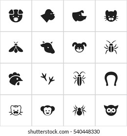 Set Of 16 Editable Zoology Icons. Includes Symbols Such As Honey, Puppy, Feline And More. Can Be Used For Web, Mobile, UI And Infographic Design.