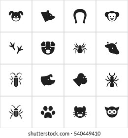 Set Of 16 Editable Zoology Icons. Includes Symbols Such As Baboon, Footprint, Arachind And More. Can Be Used For Web, Mobile, UI And Infographic Design.