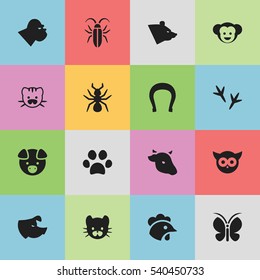 Set Of 16 Editable Zoology Icons. Includes Symbols Such As Beast, Rooster, Baboon And More. Can Be Used For Web, Mobile, UI And Infographic Design.