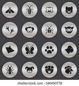 Set Of 16 Editable Zoology Icons. Includes Symbols Such As Feline, Puppy, Moth And More. Can Be Used For Web, Mobile, UI And Infographic Design.