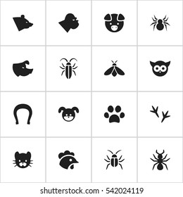 Set Of 16 Editable Zoology Icons. Includes Symbols Such As Grizzly, Honey, Bug And More. Can Be Used For Web, Mobile, UI And Infographic Design.