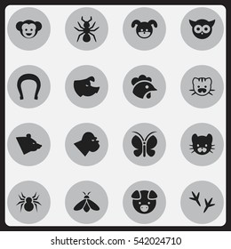 Set Of 16 Editable Zoology Icons. Includes Symbols Such As Baboon, Footprint, Hog And More. Can Be Used For Web, Mobile, UI And Infographic Design.