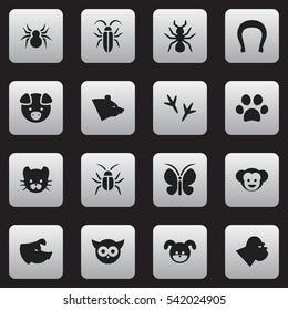 Set Of 16 Editable Zoology Icons. Includes Symbols Such As Hog, Bedbug, Talisman And More. Can Be Used For Web, Mobile, UI And Infographic Design.