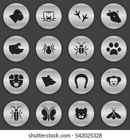 Set Of 16 Editable Zoology Icons. Includes Symbols Such As Baboon, Honey, Feline And More. Can Be Used For Web, Mobile, UI And Infographic Design.