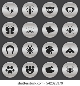 Set Of 16 Editable Zoology Icons. Includes Symbols Such As Forepaw, Honey, Moth And More. Can Be Used For Web, Mobile, UI And Infographic Design.