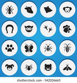 Set Of 16 Editable Zoology Icons. Includes Symbols Such As Bedbug, Grizzly, Bug And More. Can Be Used For Web, Mobile, UI And Infographic Design.