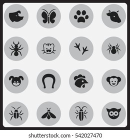 Set Of 16 Editable Zoology Icons. Includes Symbols Such As Bug, Sow, Talisman And More. Can Be Used For Web, Mobile, UI And Infographic Design.