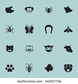 Set Of 16 Editable Zoology Icons. Includes Symbols Such As Beast, Honey, Grizzly And More. Can Be Used For Web, Mobile, UI And Infographic Design.
