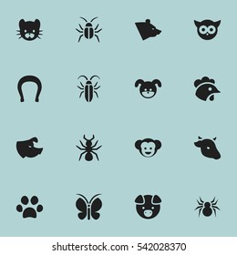 Set Of 16 Editable Zoology Icons. Includes Symbols Such As Arachind, Feline, Rooster And More. Can Be Used For Web, Mobile, UI And Infographic Design.