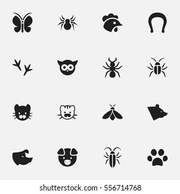 Set Of 16 Editable Zoology Icons. Includes Symbols Such As Hog, Forepaw, Rooster And More. Can Be Used For Web, Mobile, UI And Infographic Design.