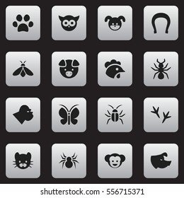 Set Of 16 Editable Zoology Icons. Includes Symbols Such As Footprint, Feline, Hog And More. Can Be Used For Web, Mobile, UI And Infographic Design.