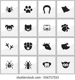 Set Of 16 Editable Zoology Icons. Includes Symbols Such As Puppy, Cockroach, Arachind And More. Can Be Used For Web, Mobile, UI And Infographic Design.