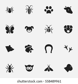 Set Of 16 Editable Zoology Icons. Includes Symbols Such As Talisman, Hog, Forepaw And More. Can Be Used For Web, Mobile, UI And Infographic Design.
