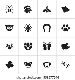 Set Of 16 Editable Zoology Icons. Includes Symbols Such As Footprint, Talisman, Arachind And More. Can Be Used For Web, Mobile, UI And Infographic Design.