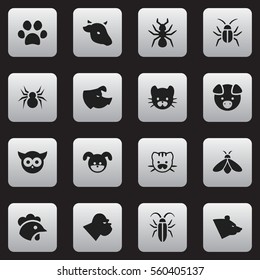 Set Of 16 Editable Zoology Icons. Includes Symbols Such As Forepaw, Bull, Rooster And More. Can Be Used For Web, Mobile, UI And Infographic Design.