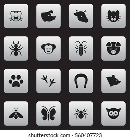 Set Of 16 Editable Zoology Icons. Includes Symbols Such As Baboon, Bug, Bird And More. Can Be Used For Web, Mobile, UI And Infographic Design.