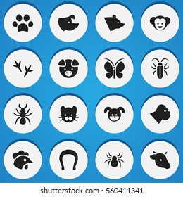 Set Of 16 Editable Zoology Icons. Includes Symbols Such As Rooster, Feline, Bull And More. Can Be Used For Web, Mobile, UI And Infographic Design.