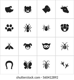Set Of 16 Editable Zoology Icons. Includes Symbols Such As Cockroach, Arachind, Talisman And More. Can Be Used For Web, Mobile, UI And Infographic Design.