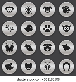 Set Of 16 Editable Zoology Icons. Includes Symbols Such As Bug, Puppy, Forepaw And More. Can Be Used For Web, Mobile, UI And Infographic Design.