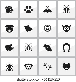Set Of 16 Editable Zoology Icons. Includes Symbols Such As Bug, Bull, Feline And More. Can Be Used For Web, Mobile, UI And Infographic Design.