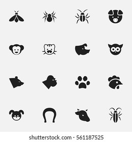 Set Of 16 Editable Zoology Icons. Includes Symbols Such As Puppy, Chimpanzee, Grizzly And More. Can Be Used For Web, Mobile, UI And Infographic Design.