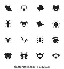 Set Of 16 Editable Zoology Icons. Includes Symbols Such As Bird, Feline, Rooster And More. Can Be Used For Web, Mobile, UI And Infographic Design.