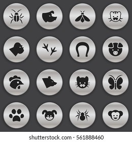 Set Of 16 Editable Zoology Icons. Includes Symbols Such As Sow, Puppy, Rooster And More. Can Be Used For Web, Mobile, UI And Infographic Design.