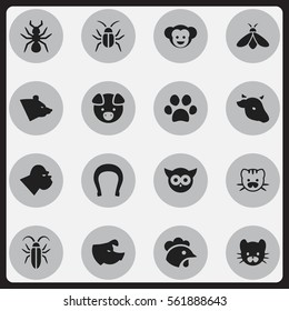 Set Of 16 Editable Zoology Icons. Includes Symbols Such As Forepaw, Rooster, Bug And More. Can Be Used For Web, Mobile, UI And Infographic Design.