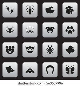 Set Of 16 Editable Zoology Icons. Includes Symbols Such As Sow, Rooster, Footprint And More. Can Be Used For Web, Mobile, UI And Infographic Design.