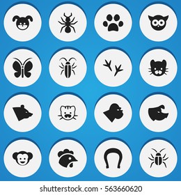 Set Of 16 Editable Zoology Icons. Includes Symbols Such As Footprint, Talisman, Baboon And More. Can Be Used For Web, Mobile, UI And Infographic Design.