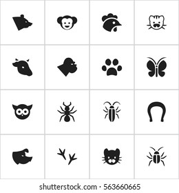 Set Of 16 Editable Zoology Icons. Includes Symbols Such As Cockroach, Bedbug, Feline And More. Can Be Used For Web, Mobile, UI And Infographic Design.