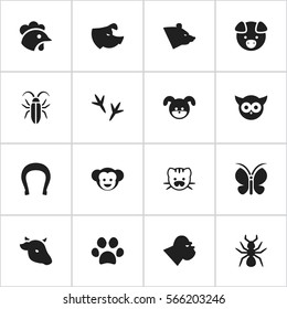 Set Of 16 Editable Zoology Icons. Includes Symbols Such As Moth, Puppy, Forepaw And More. Can Be Used For Web, Mobile, UI And Infographic Design.