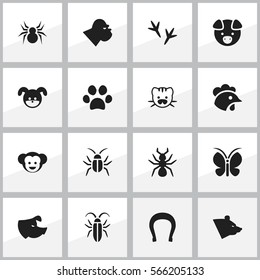 Set Of 16 Editable Zoology Icons. Includes Symbols Such As Hog, Baboon, Moth And More. Can Be Used For Web, Mobile, UI And Infographic Design.