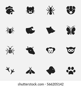 Set Of 16 Editable Zoology Icons. Includes Symbols Such As Arachind, Rooster, Footprint And More. Can Be Used For Web, Mobile, UI And Infographic Design.