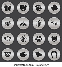 Set Of 16 Editable Zoology Icons. Includes Symbols Such As Chimpanzee, Feline, Bedbug And More. Can Be Used For Web, Mobile, UI And Infographic Design.