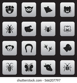 Set Of 16 Editable Zoology Icons. Includes Symbols Such As Moth, Cockroach, Arachind And More. Can Be Used For Web, Mobile, UI And Infographic Design.