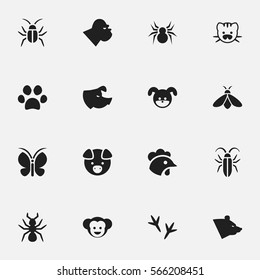 Set Of 16 Editable Zoology Icons. Includes Symbols Such As Bedbug, Moth, Rooster And More. Can Be Used For Web, Mobile, UI And Infographic Design.